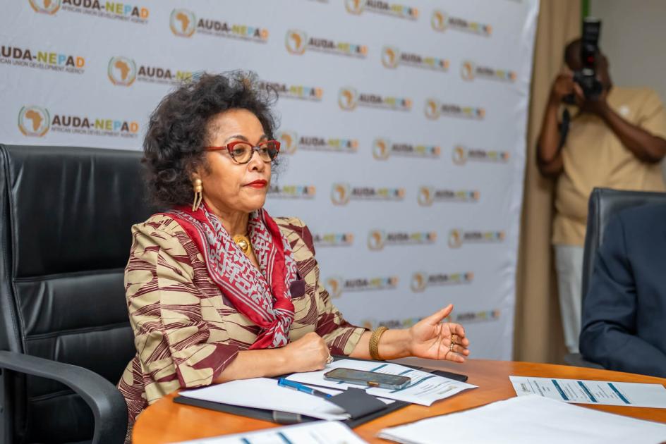 The African Union Development Agency (AUDA-NEPAD) Chief Executive Officer Nardos Bekele-Thomas hosts AU Media Fellows