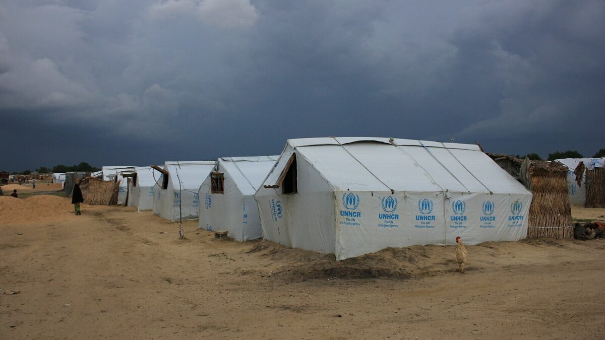 Tackling adolescent malnutrition in Nigeria’s internally displaced persons (IDP) camps "The government has stopped feeding us, so we have to find ways to feed ourselves."